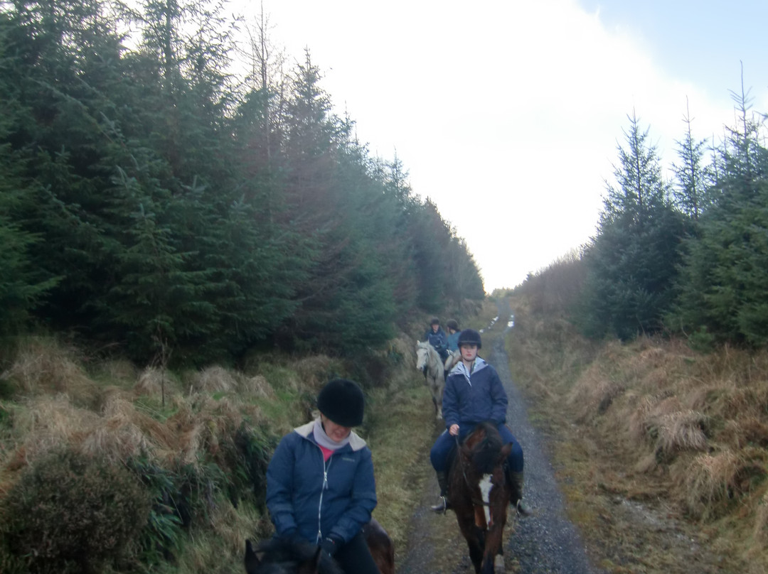 Knockillaree Riding Centre-Oughterard必去景点