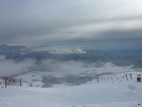 白马五龙滑雪场 / 高山植物园-白马村必去景点