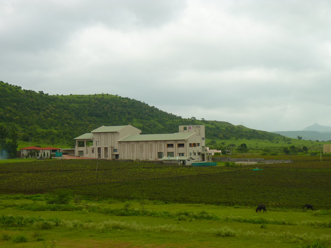 York Winery & Tasting Room景点图片