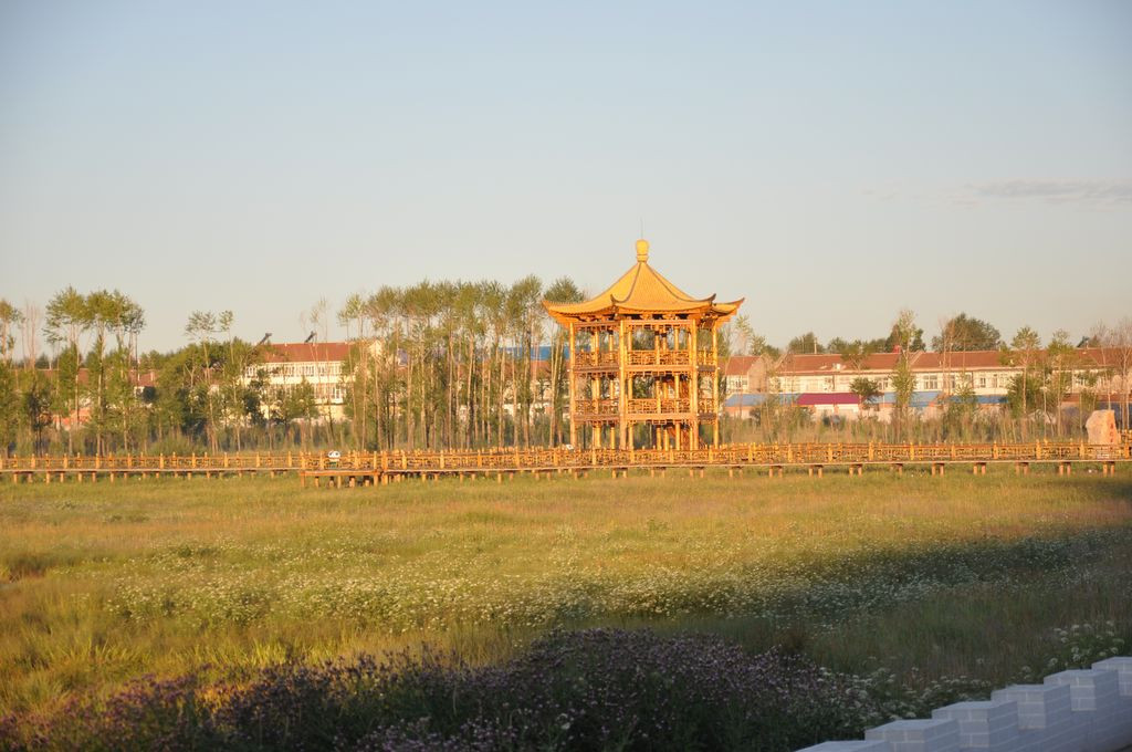 多伦大酒店主图