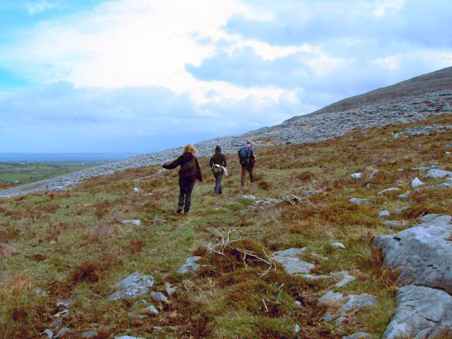 Burren Wild Tours景点图片