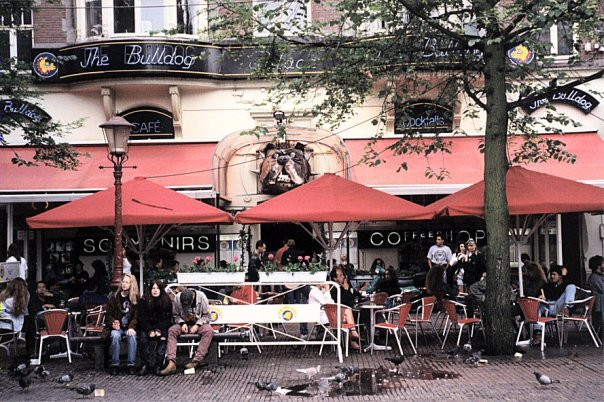 The Bulldog夜店-阿姆斯特丹必去景点