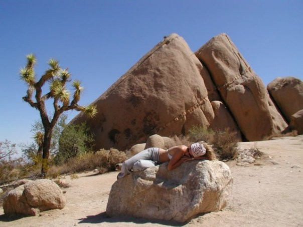 Joshua Tree Rock Climbing School-约书亚树国家公园必去景点