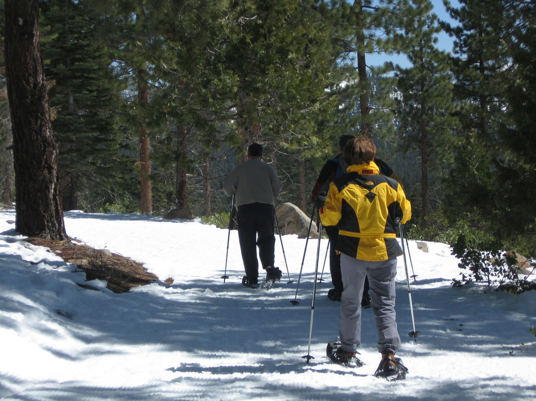 Tahoe Adventure Company-塔霍维斯塔必去景点