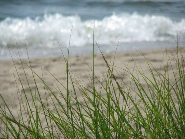 Hammonasset Beach State Park-麦迪逊必去景点