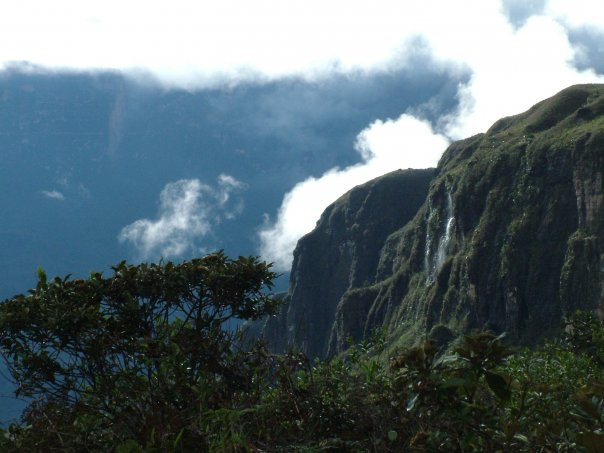 Monte Roraima景点图片