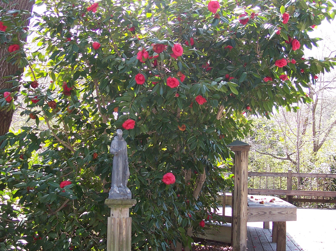 The Mariners' Museum and Park-纽波特纽斯必去景点