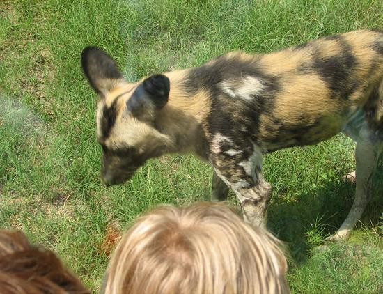 那不勒斯植物园-那不勒斯必去景点