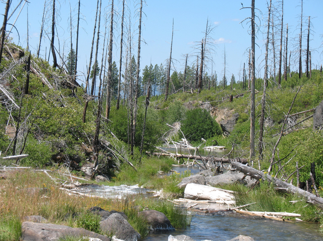 The Paulina Plunge-太阳河必去景点