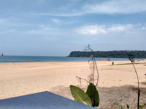 Mariposa Beach Grove