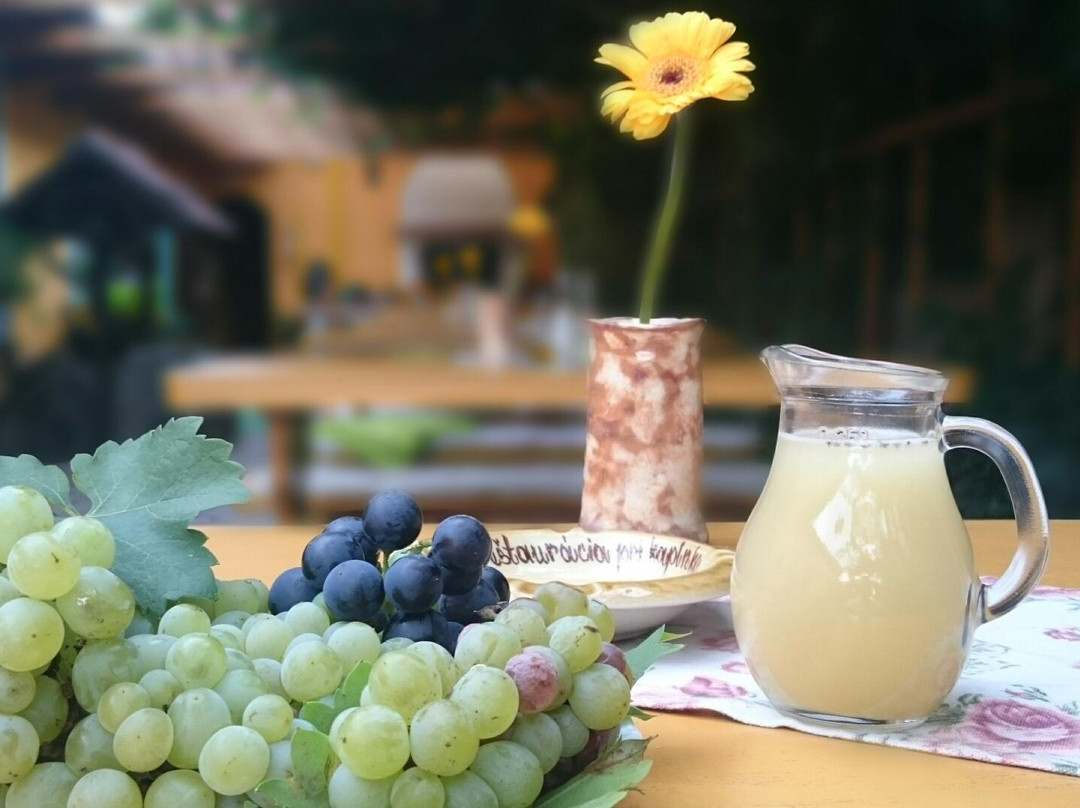 Ivanka pri Dunaji餐馆和美食-Vinaren a Restauracia pri Kaplnke