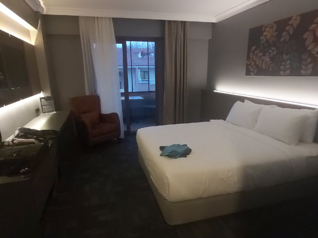 Luxon Hotel Sakarya主图