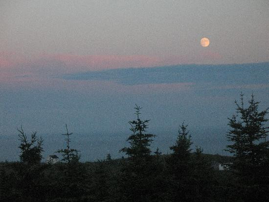 Bayview Country Inn主图