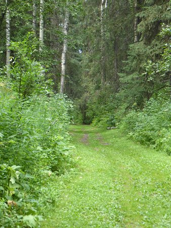 McMillan Creek Regional Park-乔治王子城必去景点