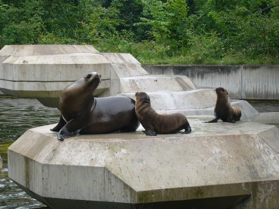 慕尼黑动物园-慕尼黑必去景点