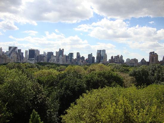 大都会艺术博物馆-纽约市必去景点