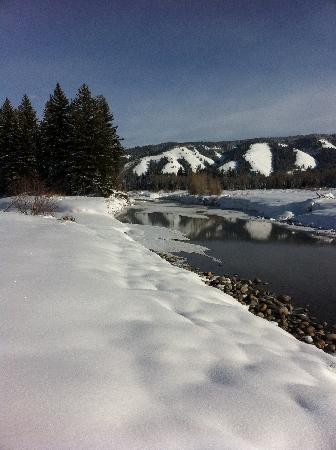 Jackson Hole Eco Tour Adventures景点图片