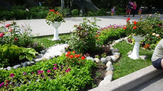 Novosibirsk Zoo景点图片