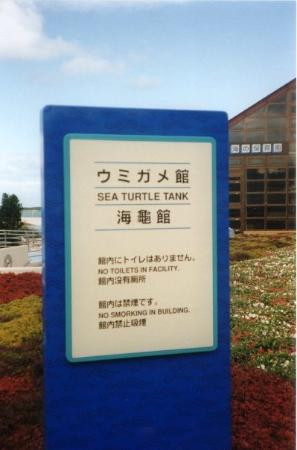 冲绳美之海水族馆景点图片