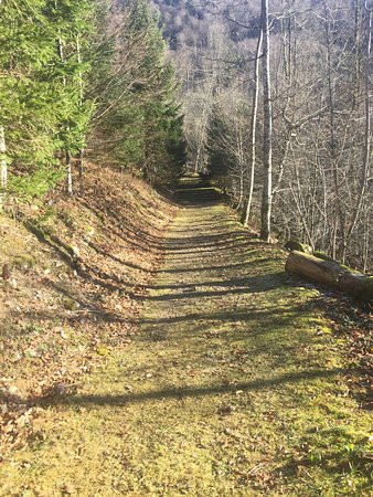 Cascade du Heidenbad-Wildenstein必去景点