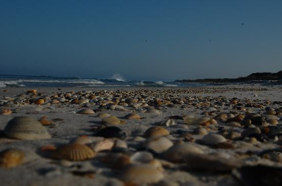 T.H. Stone Memorial St. Joseph Peninsula State Park-Port Saint Joe必去景点