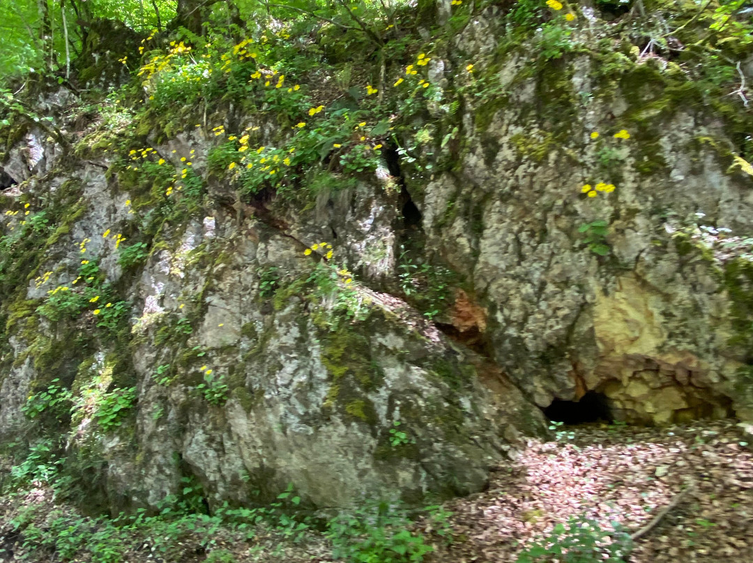 Albioara Gorge景点图片