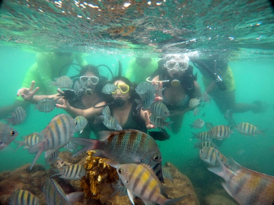Wa Turismo Maceió-Maceio必去景点