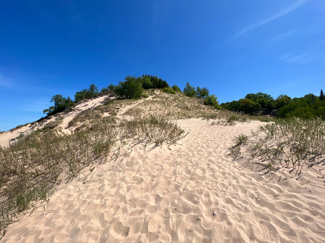 Arcadia Dunes CS Mott Nature Preserve-Arcadia必去景点