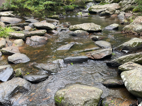 新娘潭自然教育径-香港必去景点