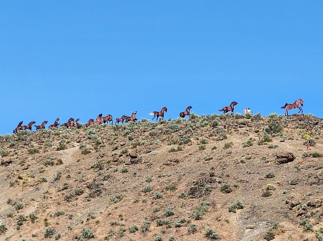 Wild Horse Monument景点图片