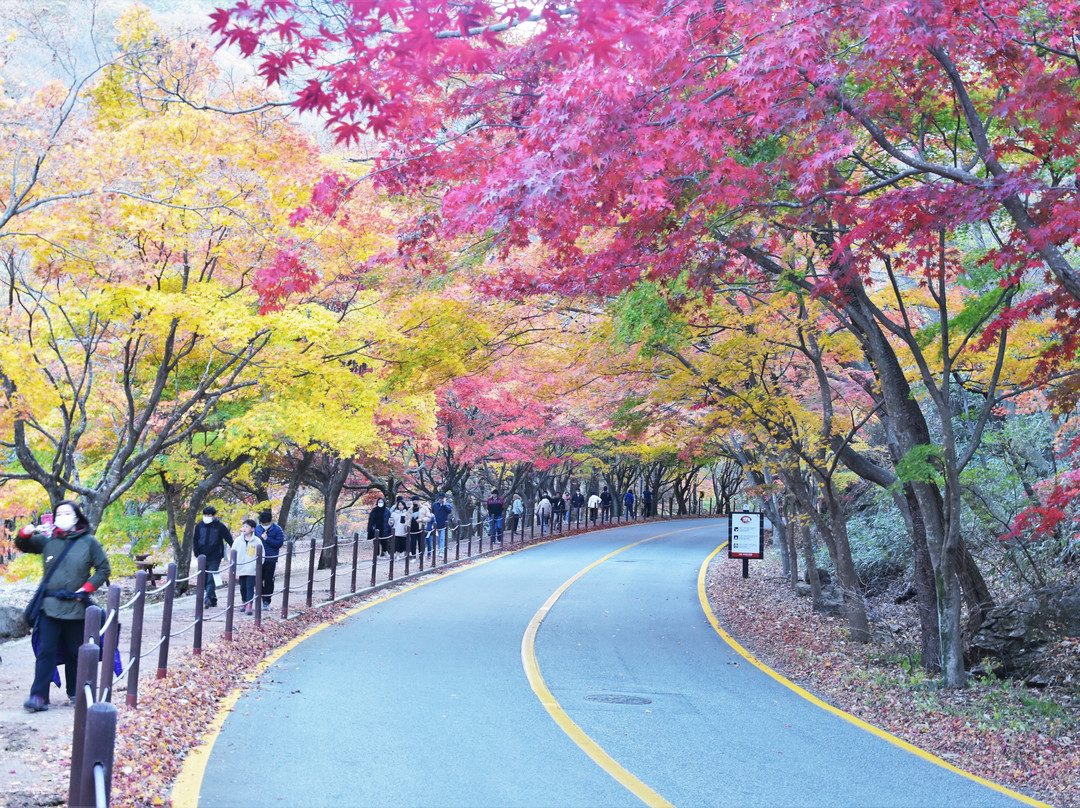 Naejangsan National Park-淳昌郡必去景点