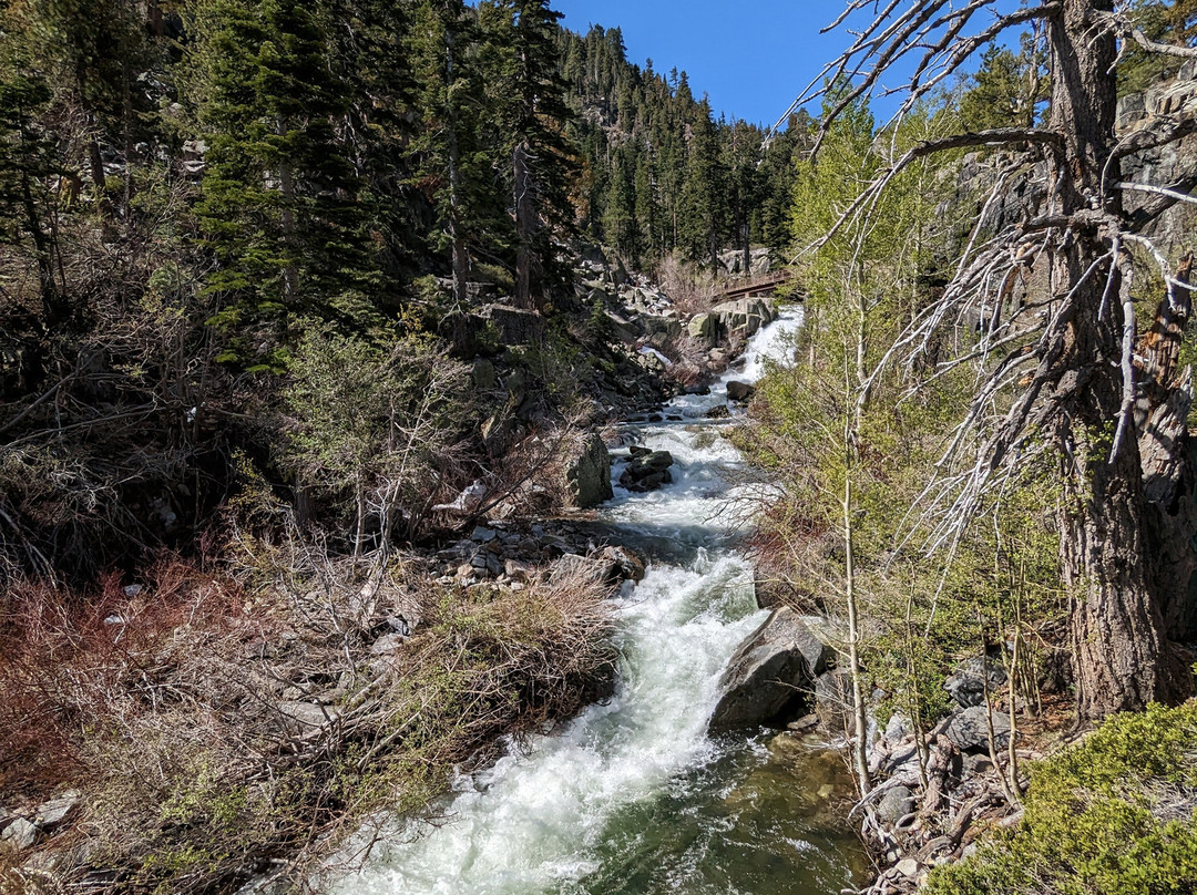 Lower Eagle Falls-南太浩湖必去景点