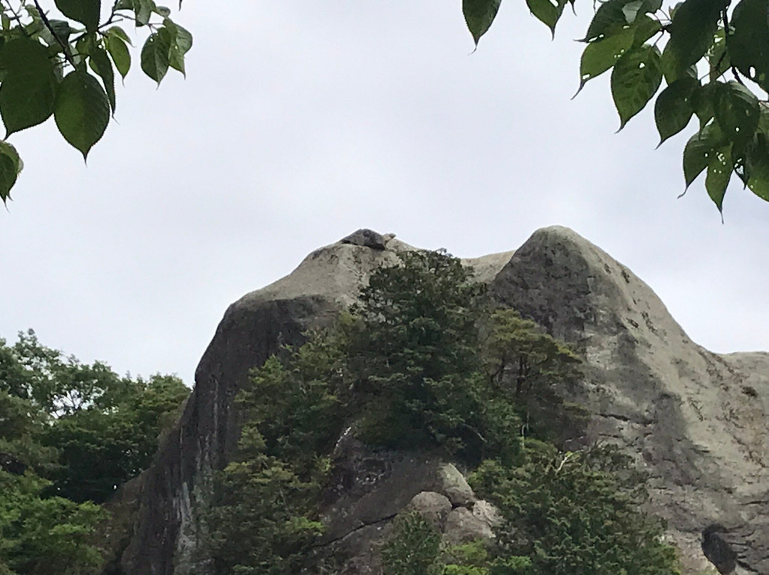 Sanuki Kannon-盐谷町必去景点