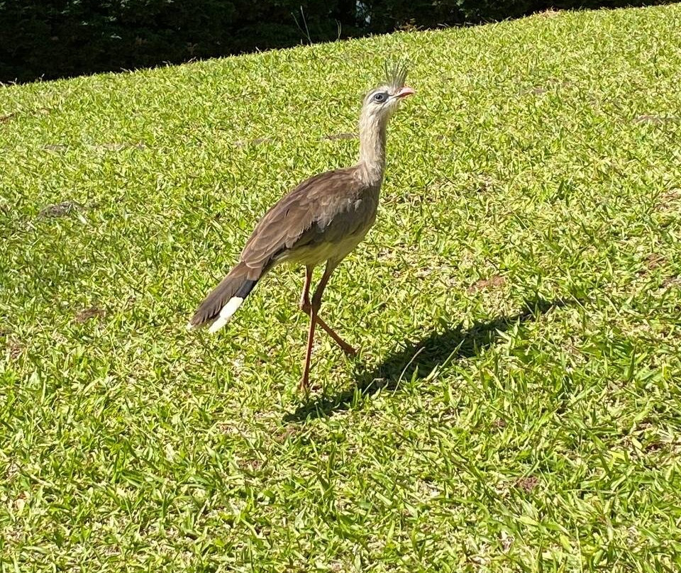 Pousada Ver o Vento主图