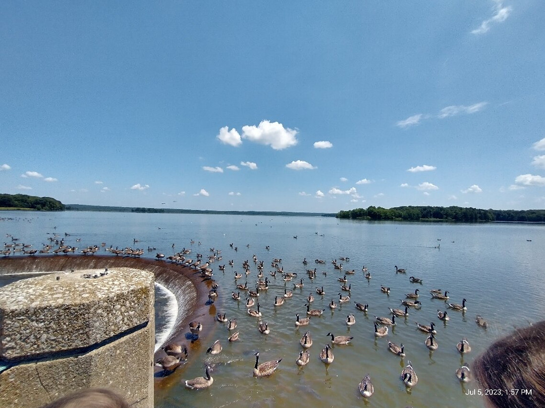 Linesville Spillway景点图片