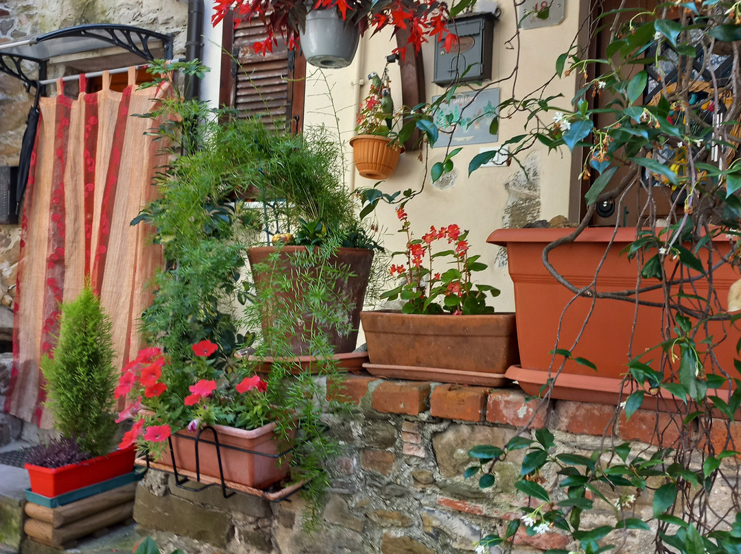 Centro Storico Di Caprigliola景点图片