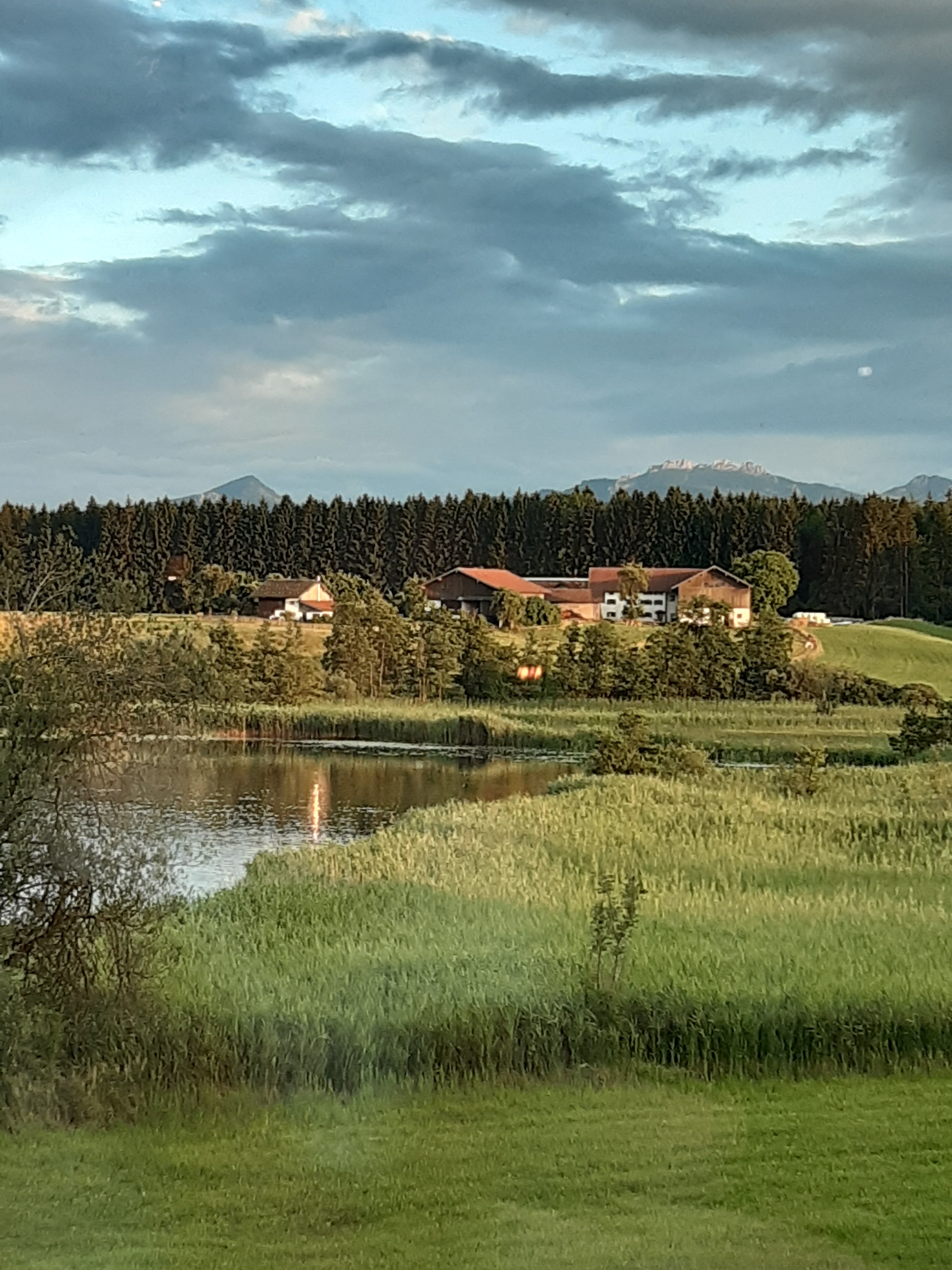 Hotel Seeblick-餐饮