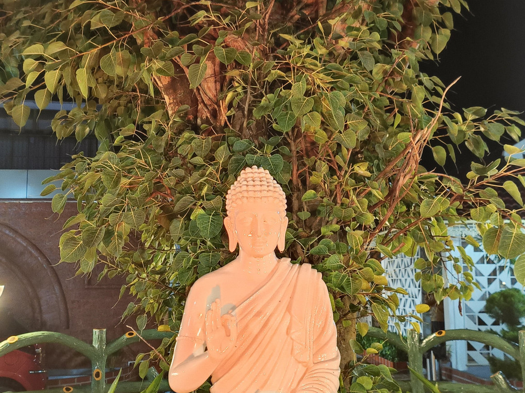 Binary Exotica Luxury Hotels and Resorts主图