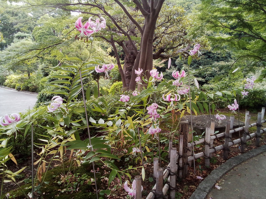 Ikedayama Park-品川区必去景点