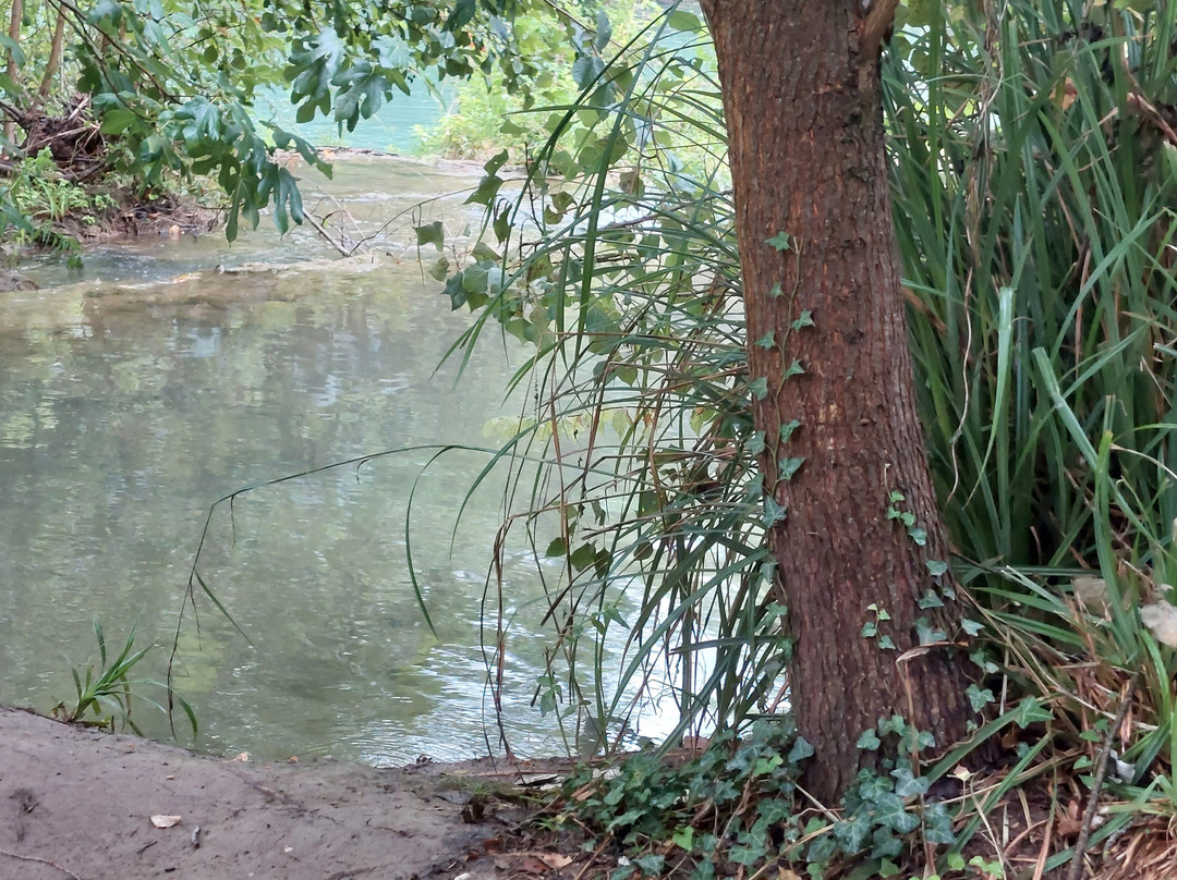 SentierElsa - Ponte di San Marziale Entrance - Parco Fluviale Alta Val D'Elsa景点图片