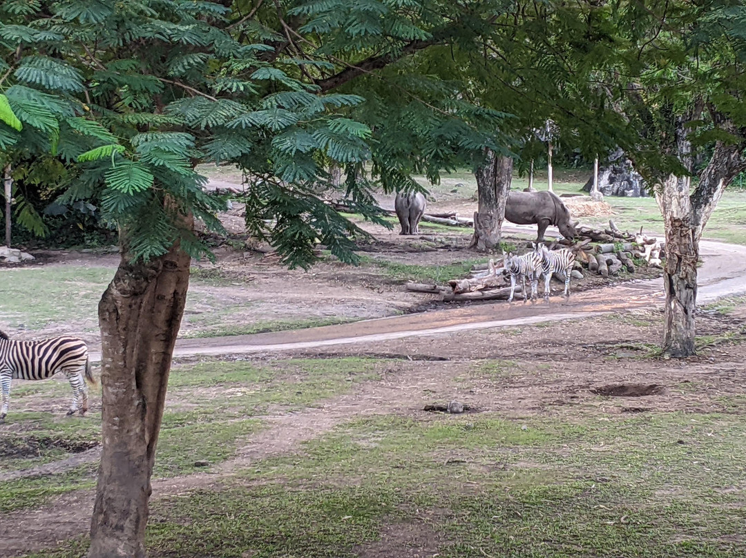 马拉河萨法里旅馆主图