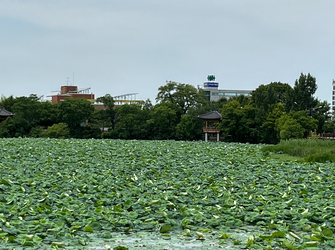 Deokjin Park景点图片