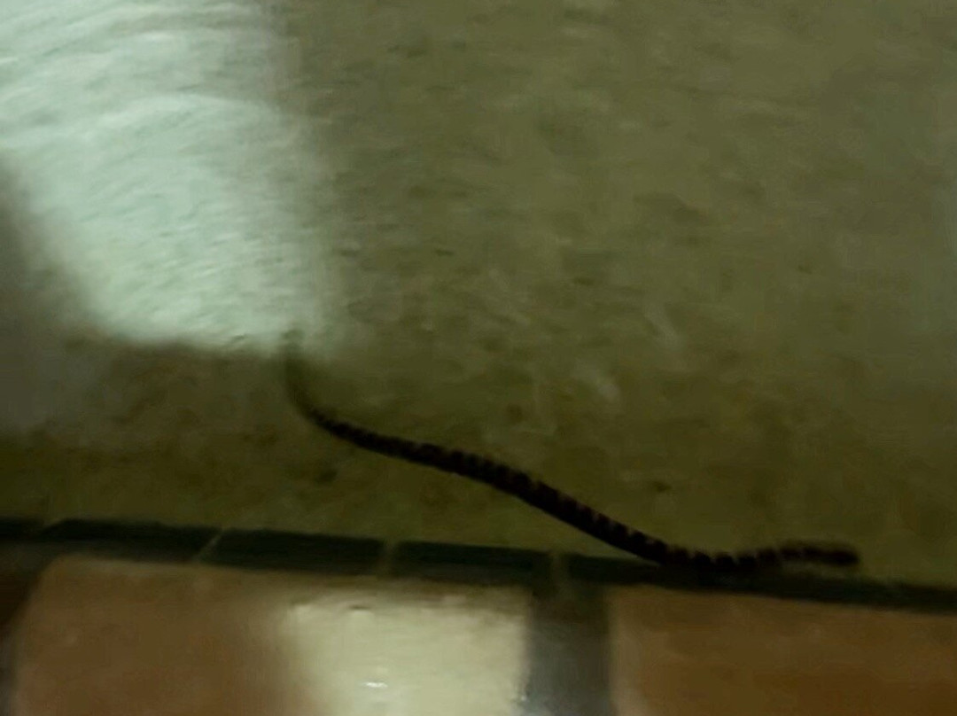 Country Inn & Suites by Radisson, Germantown, WI主图