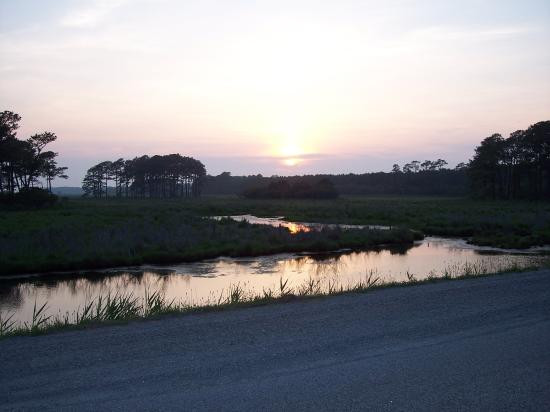 The Watson Guest House主图