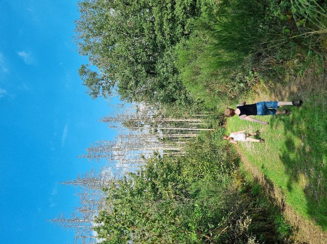 Hoscheid Klangwanderweg-Hoscheid必去景点