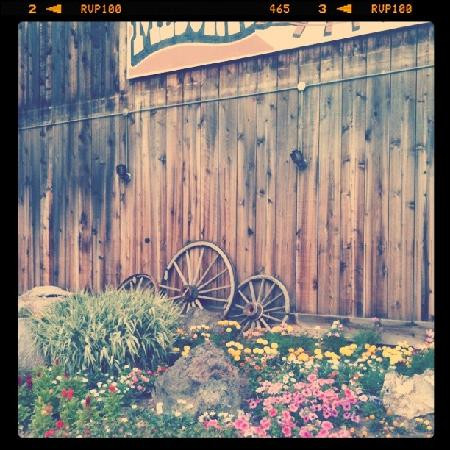 Medora Visitor Center-Medora必去景点