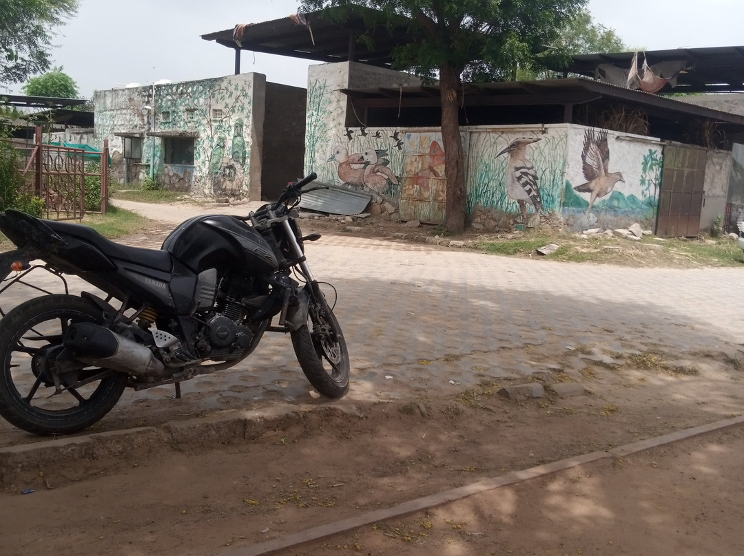 Elephant Fun Park-斋蒲尔必去景点