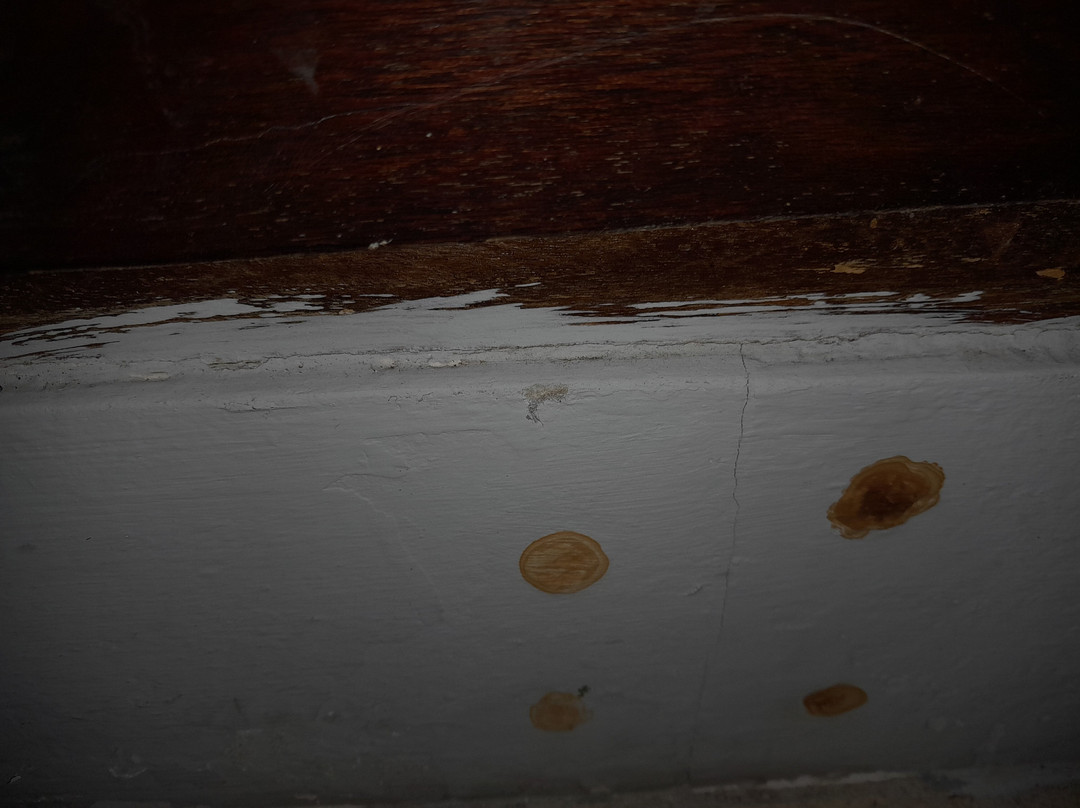 塔曼塞里尼海滩别墅主图