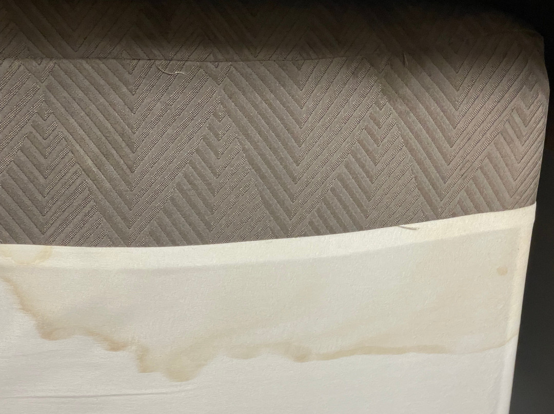 Holiday Inn Express & Suites Springfield North By IHG主图