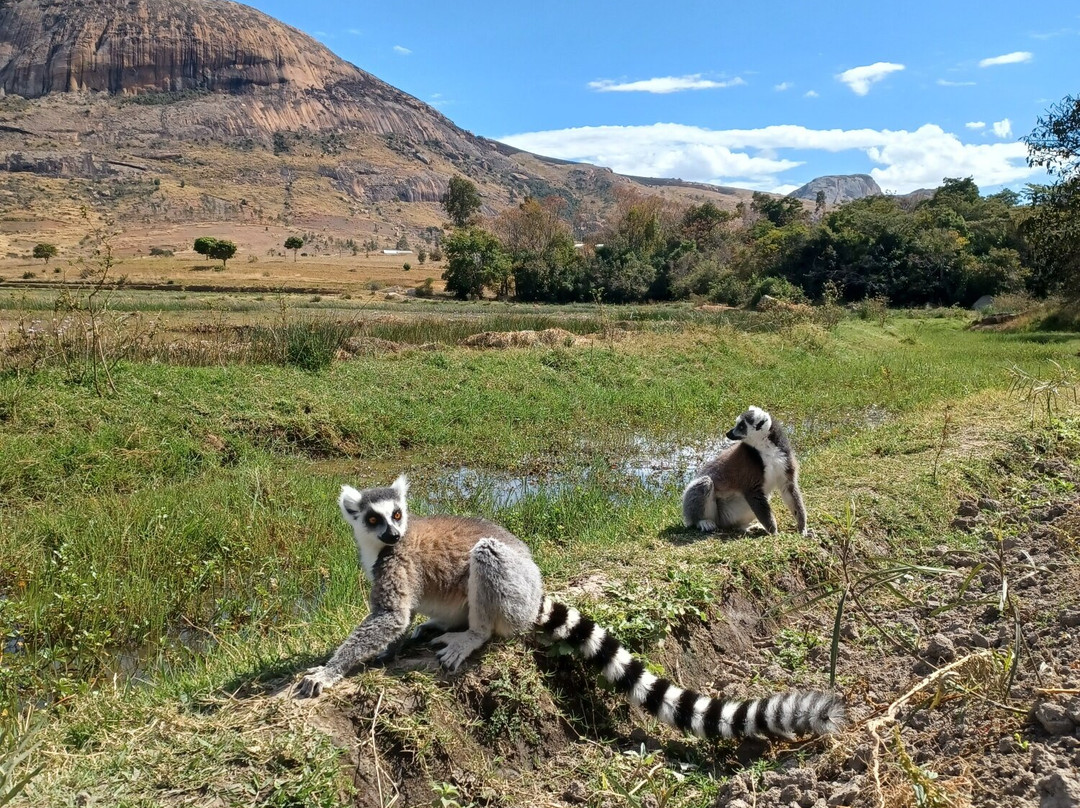 FREEBIRD MADAGASCAR TOURS-安塔那那利佛必去景点